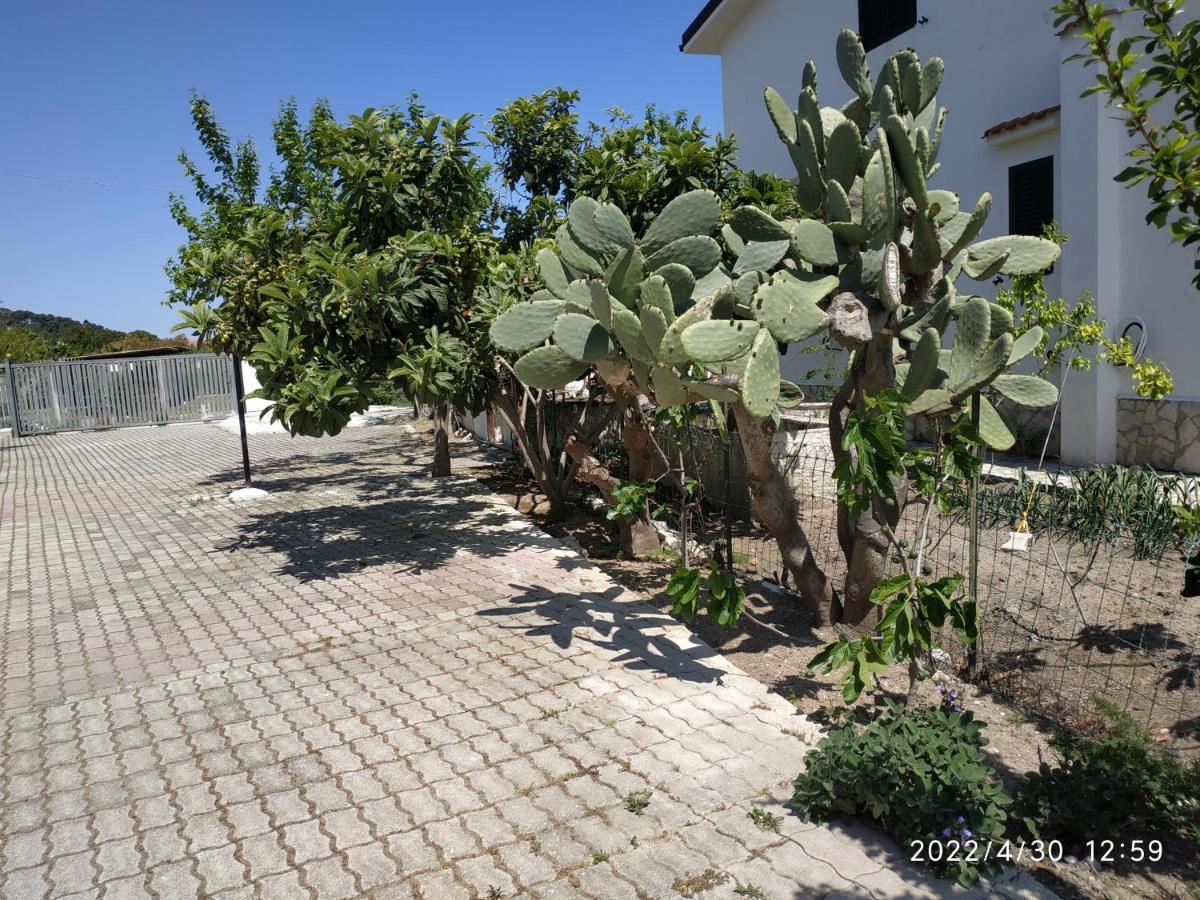 Villa Scialara Vieste Kültér fotó